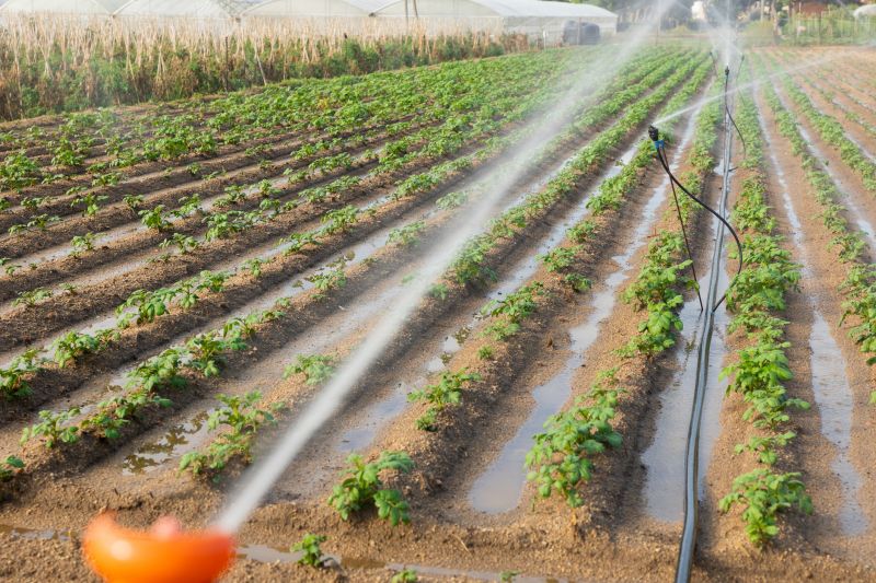Plant Irrigation